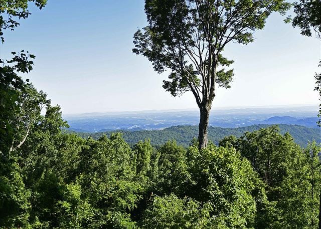 View from the Smoky Mountains.