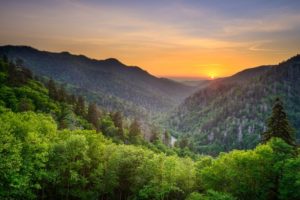 View of the Smokies.