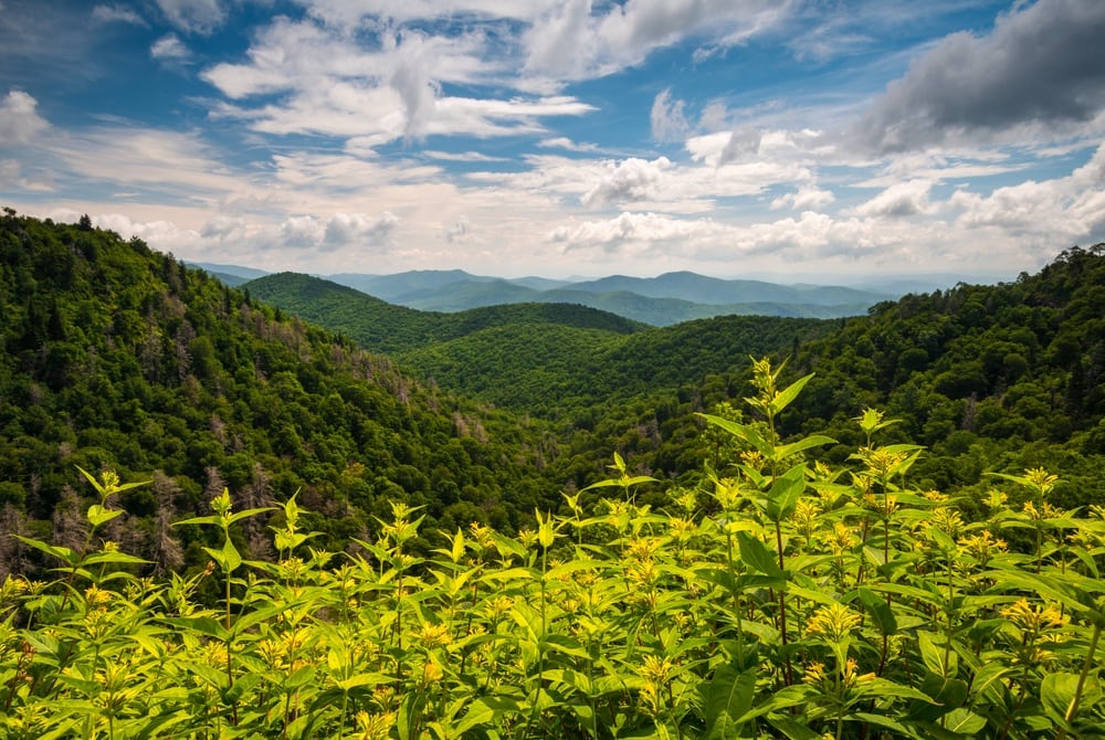 Mountains in the summertime.