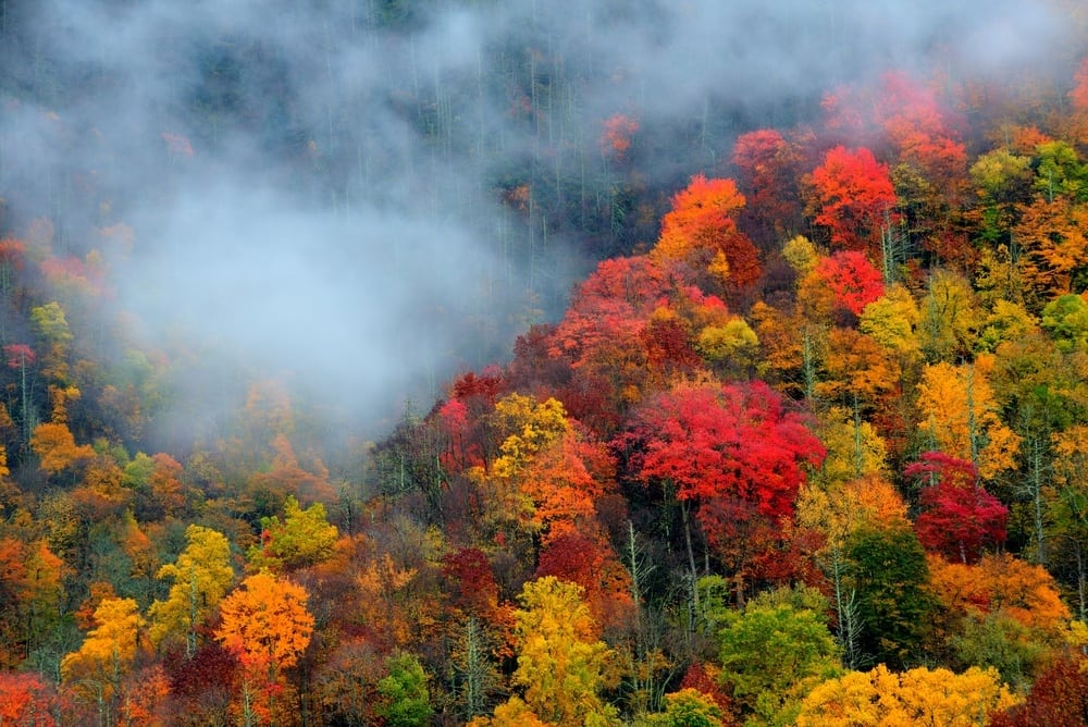 Fall colors in the Smoky Mountains.