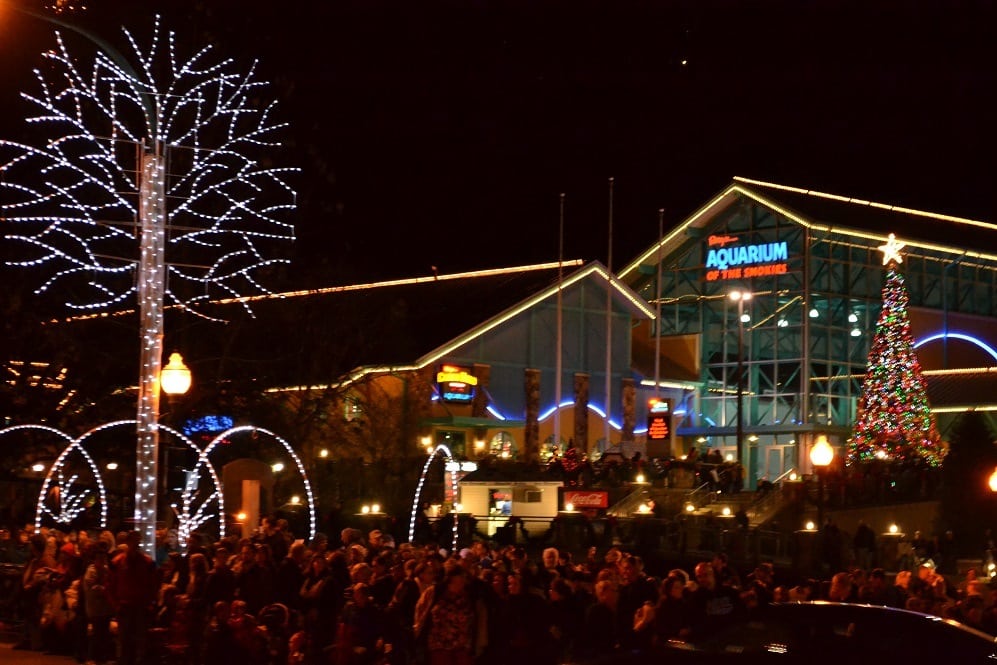 Ripley's Aquarium of the Smokies during the holiday season in Gatlinburg.