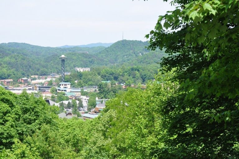 7 Steps for Having the Perfect Day at Our Vacation Rentals in