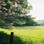 Scenic photo of Cades Cove in the spring.