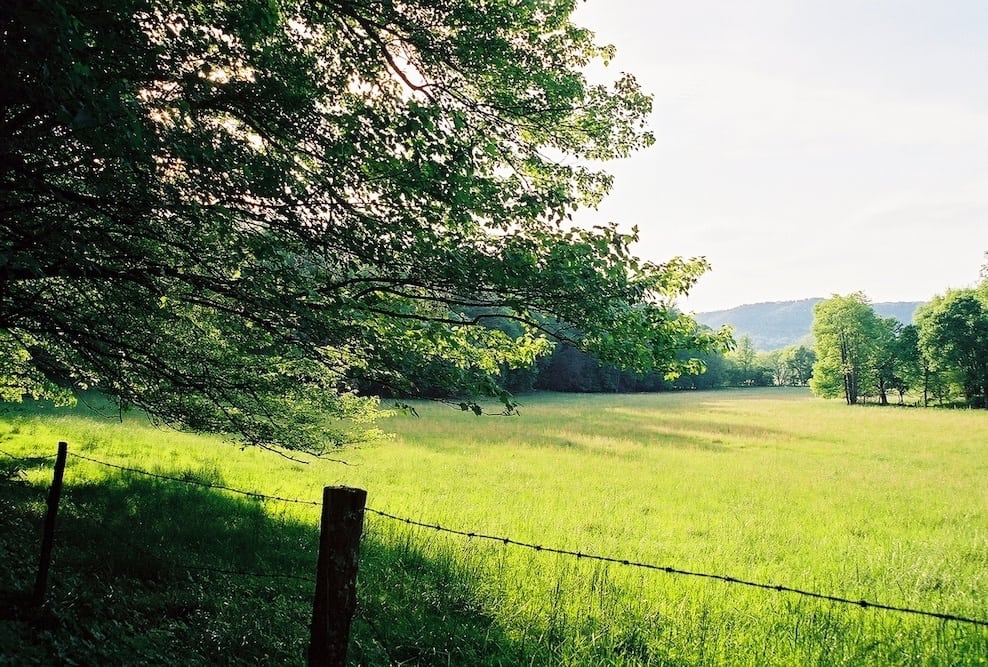 Scenic photo of Cades Cove in the spring.