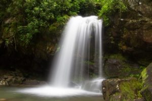 Grotto Falls in the Smoky Mountains.