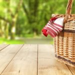 picnic basket at park in gatlinburg