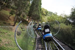 mountain coaster