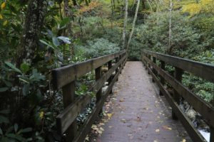 bridge along the gatlinburg trail