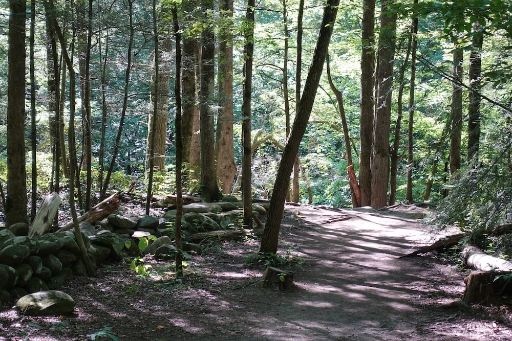 the gatlinburg trail in smoky mountains