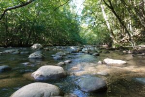 little pigeon river in the smoky mountains