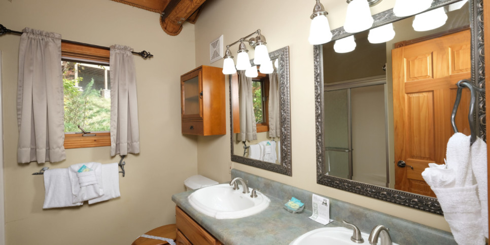 Gatlinburg - Christine's Cabin 1101 - Bathroom