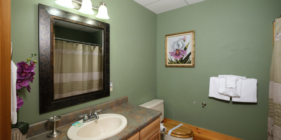 Gatlinburg - Christine's Cabin 1101 - Bathroom