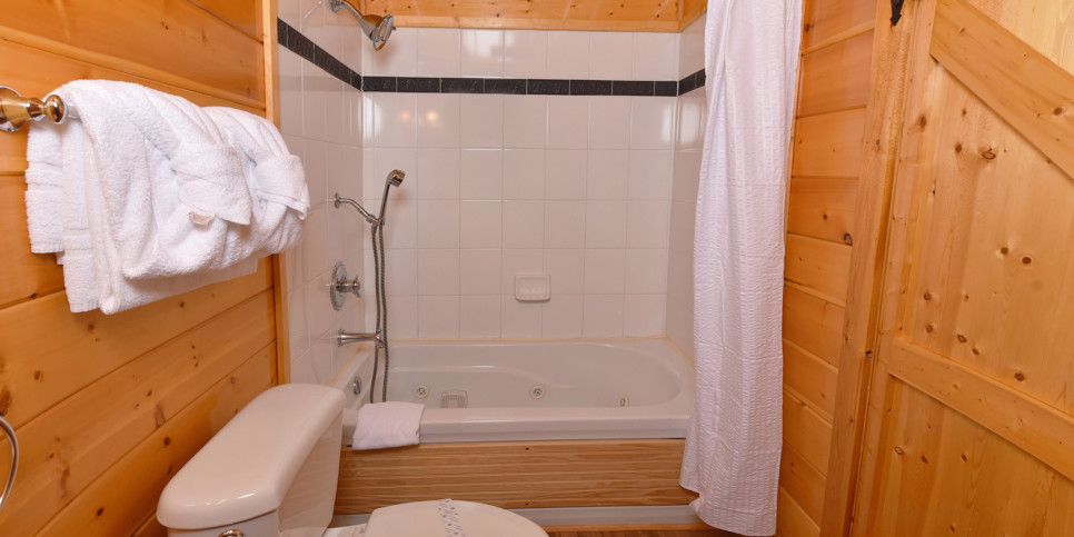 Gatlinburg - Bearfoot Lodge - Bathroom