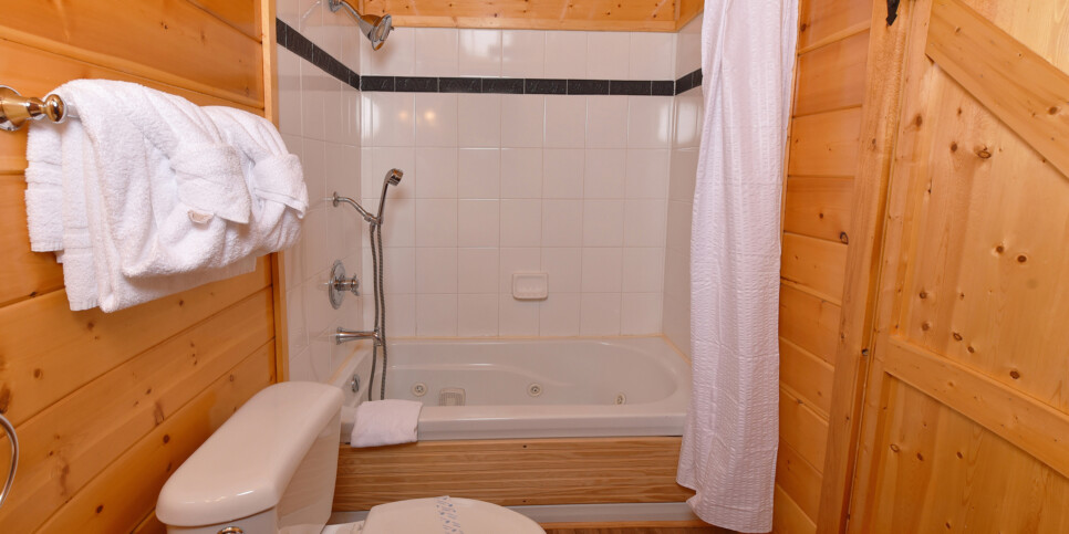 Gatlinburg - Bearfoot Lodge - Bathroom