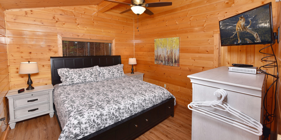 Gatlinburg - Bearfoot Lodge - Bedroom