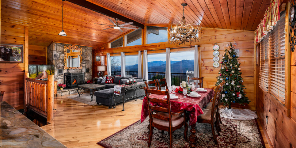 Gatlinburg - A Million Dollar View - living-Room