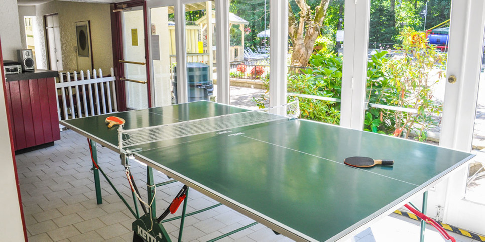 Gatlinburg - Chalet Village- Resort Ping Pong