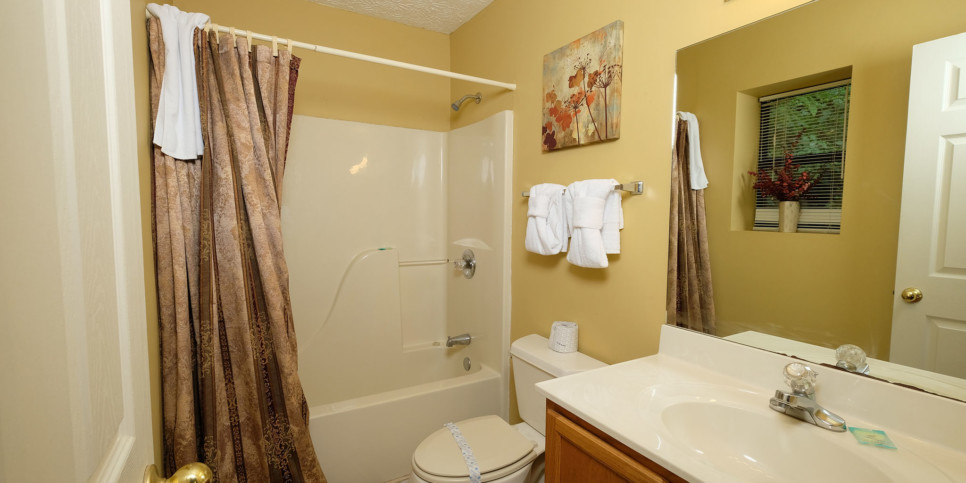 Gatlinburg - Among the Clouds - Bathroom