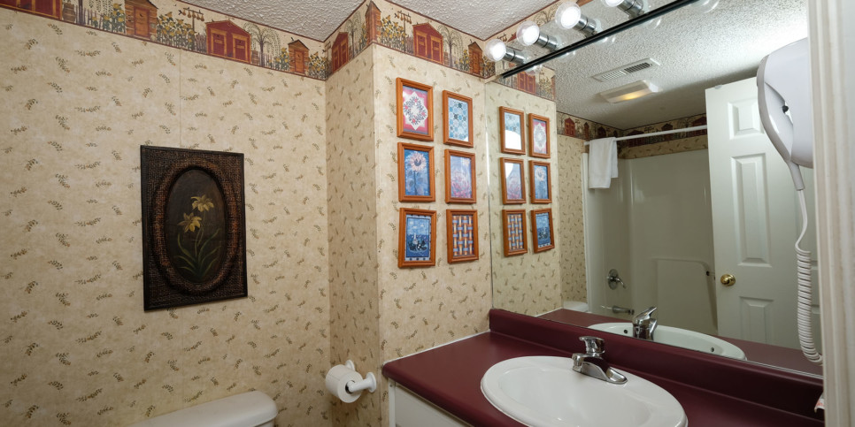 Gatlinburg - Bear Hugs - Bathroom