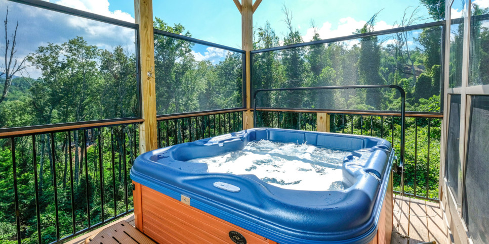 Gatlinburg - Bear Watch 1011 - Exterior