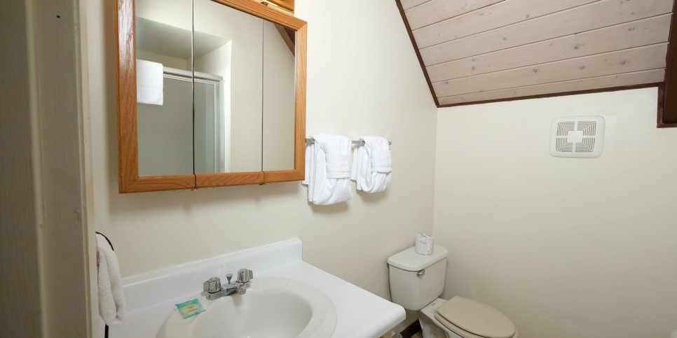 Gatlinburg - Cozy Bear 856 - Bathroom