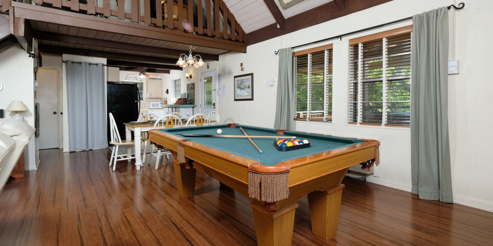 Gatlinburg - Cozy Bear 856 - Rec Room