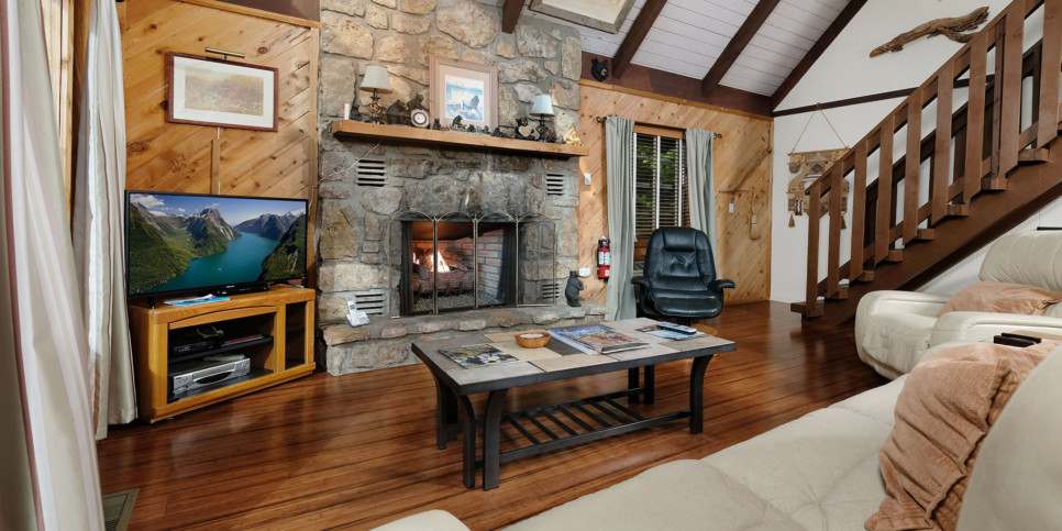 Gatlinburg - Cozy Bear 856 - Living Room