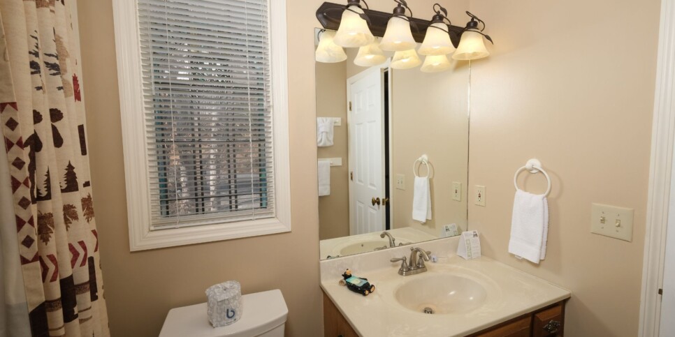 Gatlinburg - Mountain Therapy - Bathroom