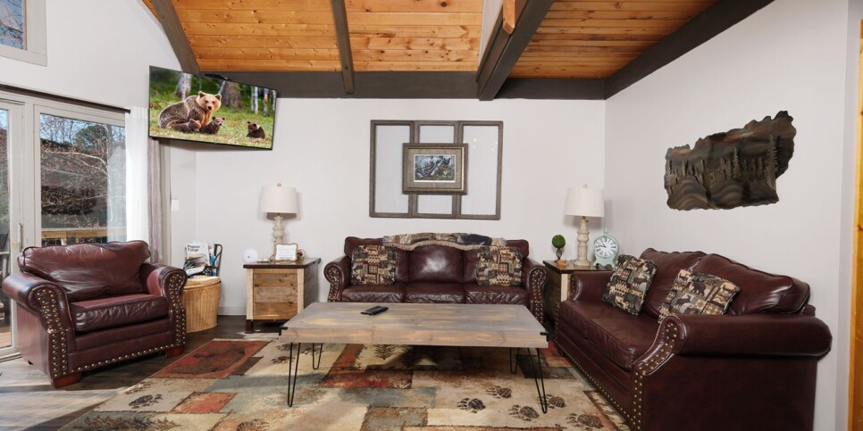 Gatlinburg - Chalet Luzerne 1860 - Living Room