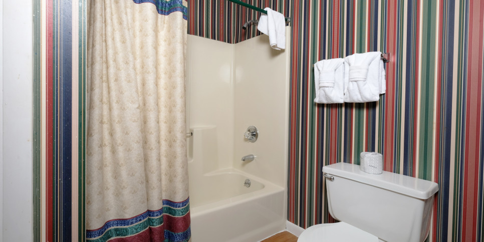 Gatlinburg - Ski Mountain Hideaway 1154 - Bathroom