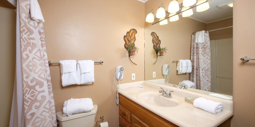 Gatlinburg - Three Pines 2139 - Bathroom
