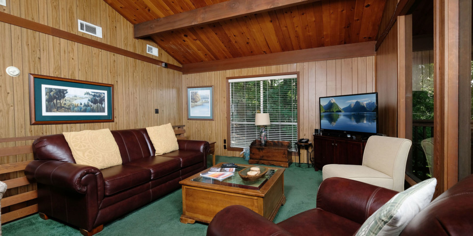 Gatlinburg - Three Pines 2139 - Living Room