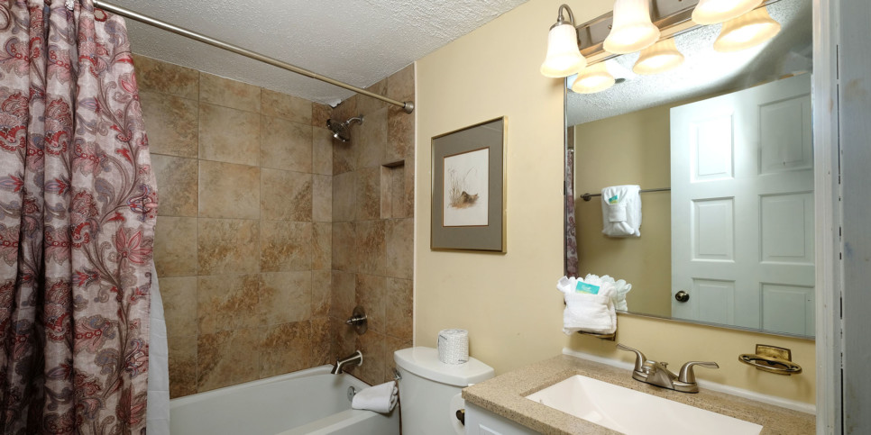 Gatlinburg - Three Bears and a Mountain HA302 - Bathroom