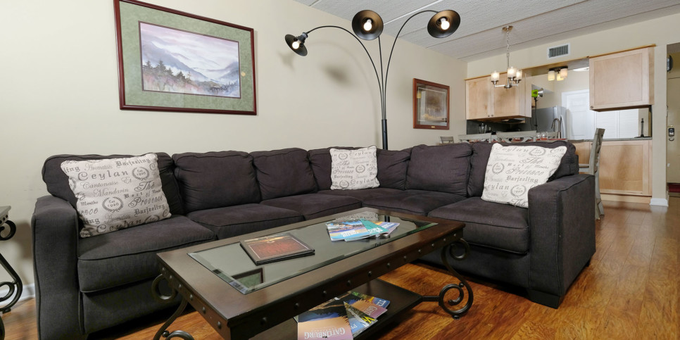 Gatlinburg - Three Bears and a Mountain HA302 - Living Room