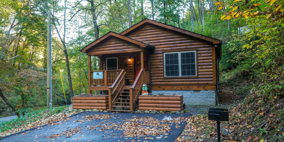 Gatlinburg - Bear Trail 625 - Exterior