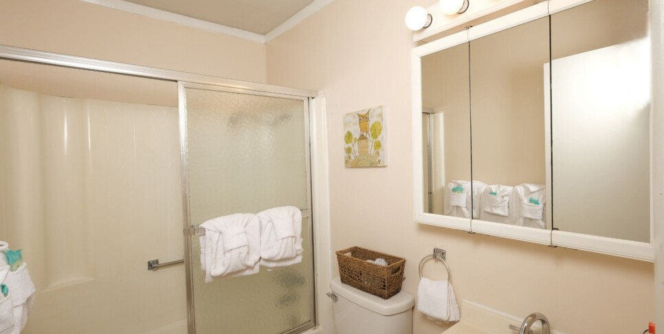 gatlinburg-bear-view-chalet-cabin-bathroom-1