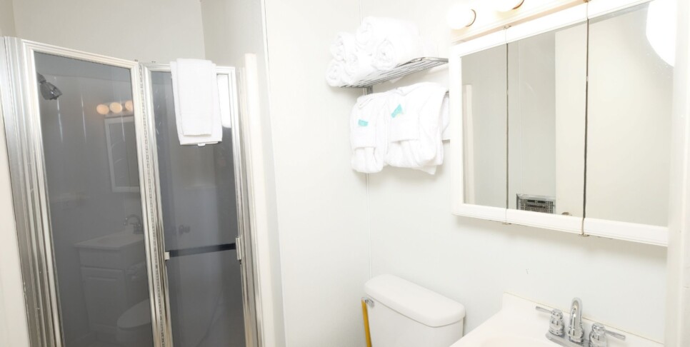 gatlinburg-bear-view-chalet-cabin-bathroom-2