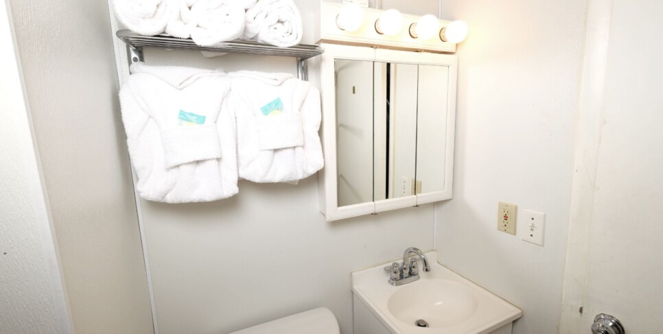 gatlinburg-bear-view-chalet-cabin-bathroom-3