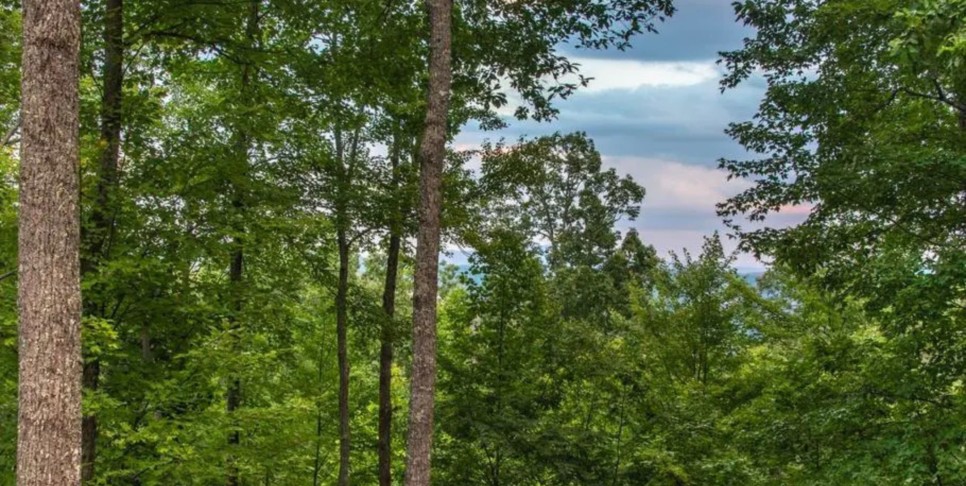 Chalet Village Cabin - Bear View Chalet - Exterior