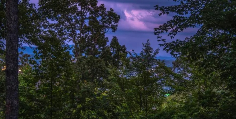 Chalet Village Cabin - Bear View Chalet - Exterior