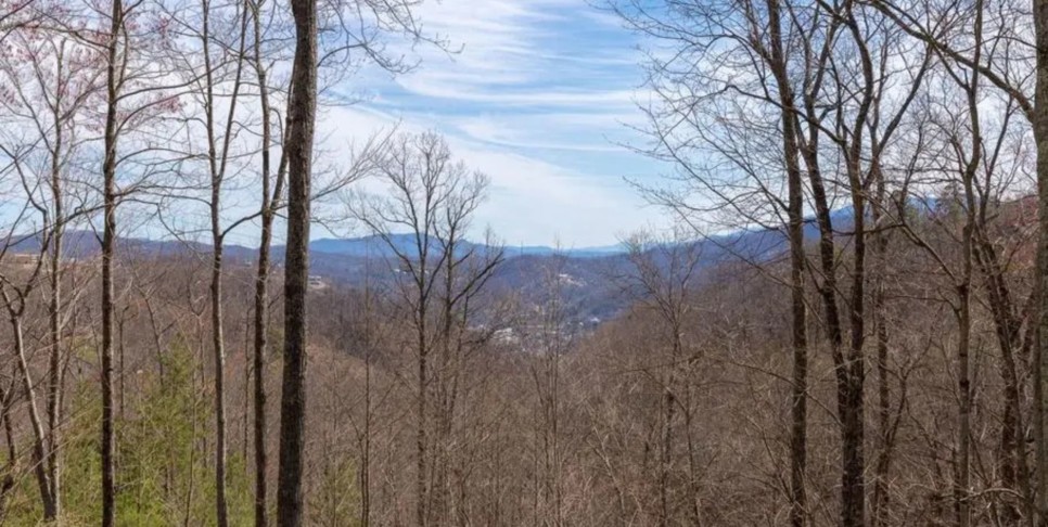 Chalet Village Cabin - Bear View Chalet - Exterior