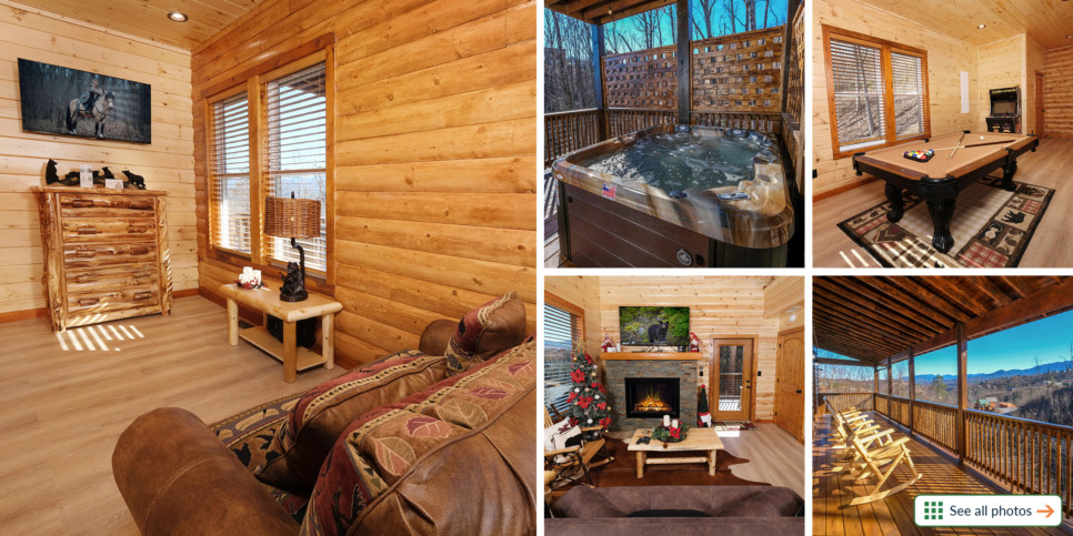 Chestnut Tower - Collage