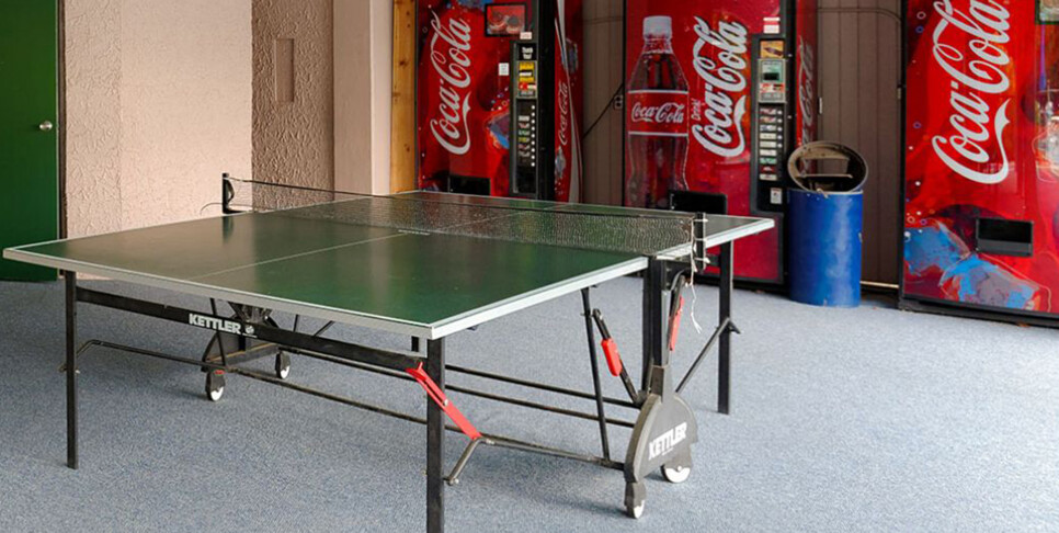 Gatlinburg - Chestnut Bearadise - Resort Amenities