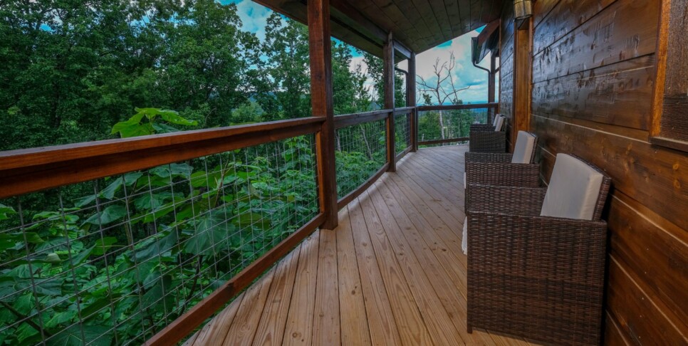 Gatlinburg - Chestnut Bearadise - Exterior