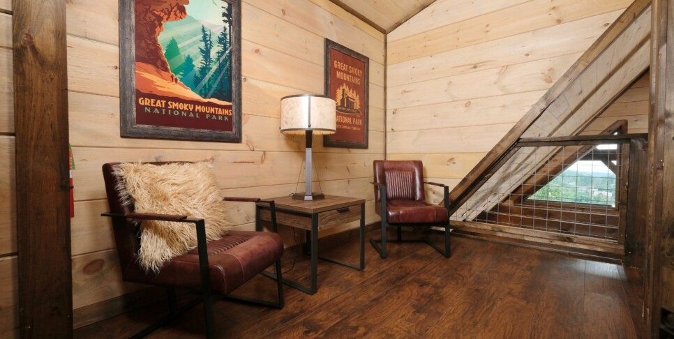 Gatlinburg - Chestnut Bearadise - Recreation