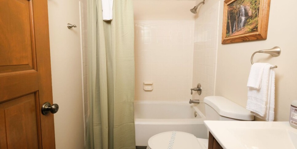 Chalet Village Condos - Hop's Hideaway - Bathroom