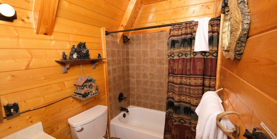gatlinburg-bear-mountain-retreat-bathroom-1