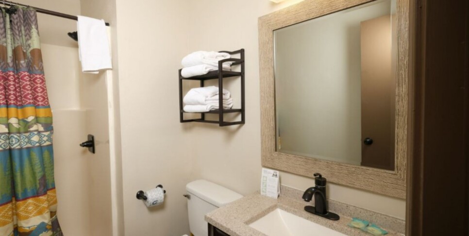 Gatlinburg - Coppertop View - Bathroom