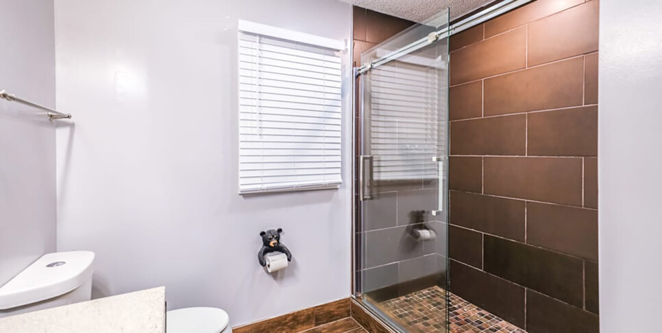 Gatlinburg - Mountain Bliss - Bathroom