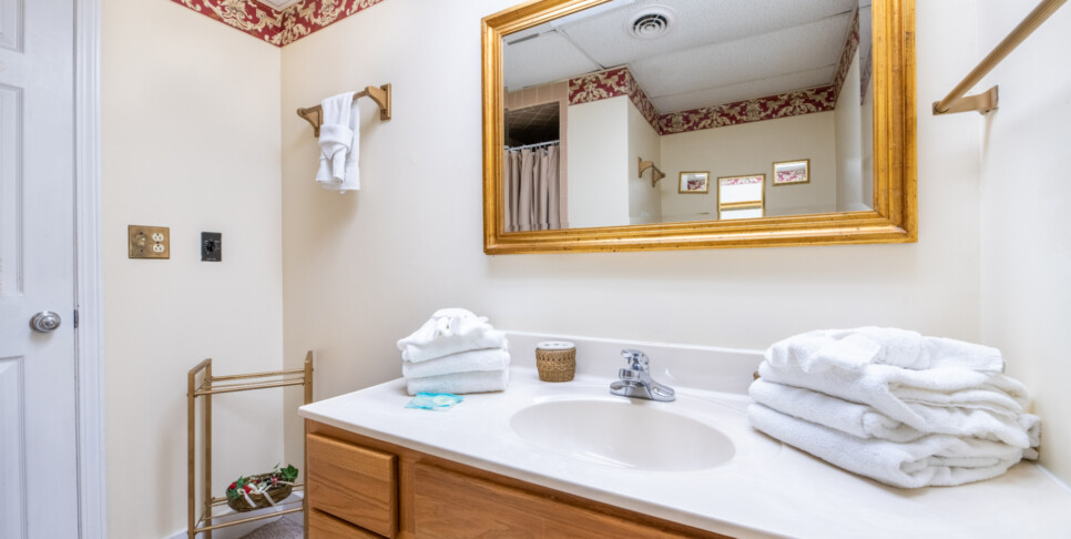 Gatlinburg - A Bear's View - Bathroom